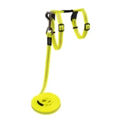 Alleycat Harness And Lead Set- Dayglo 11mm