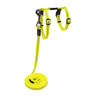 Alleycat Harness And Lead Set- Dayglo 11mm