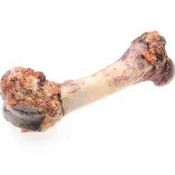 APT Pork Bone Single 100g