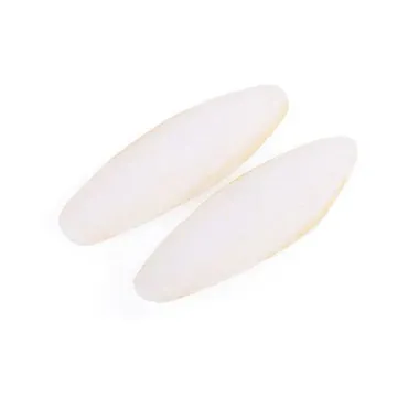 Bird Treat - Cuttlebone Medium Natural 2 Pack