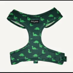 Dan & Sam Dog Harness Dinosaur Land