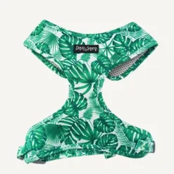 Dan & Sam Dog Harness Lahana