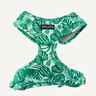 Dan & Sam Dog Harness Lahana