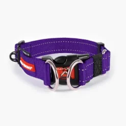 EzyDog Double-Up Collar Purple